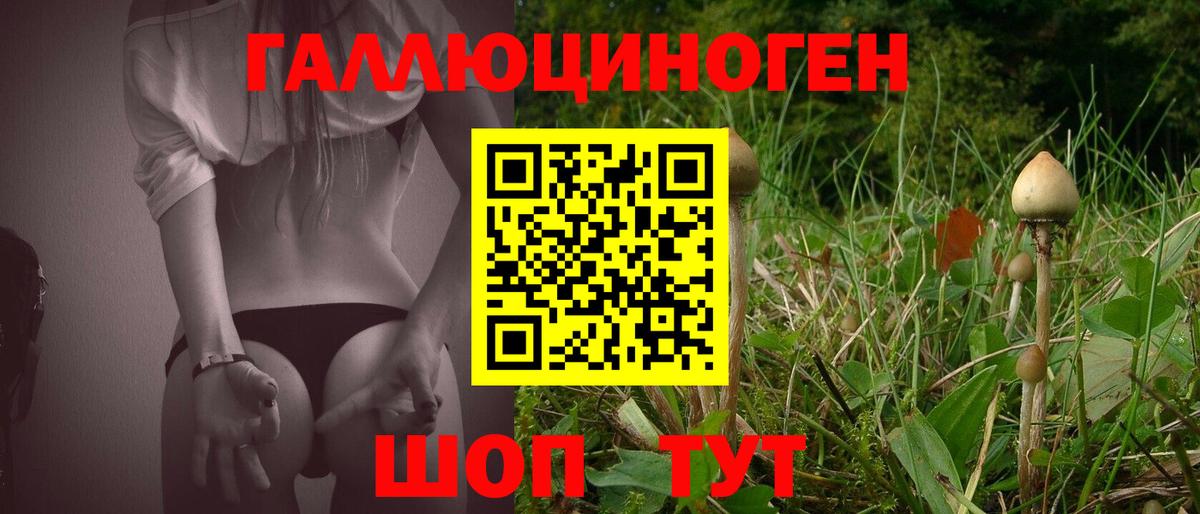 Галлюциногенные грибы GOLDEN TEACHER  Вход с VPN  Баксан 