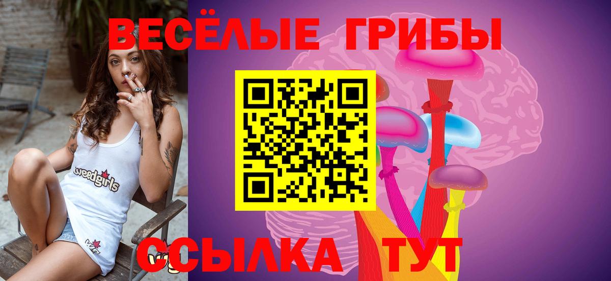 Галлюциногенные грибы ЛСД Баксан